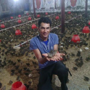 پرورش دهندگان بلدرچین در هزار توی رسیدن به نهاده های دامی