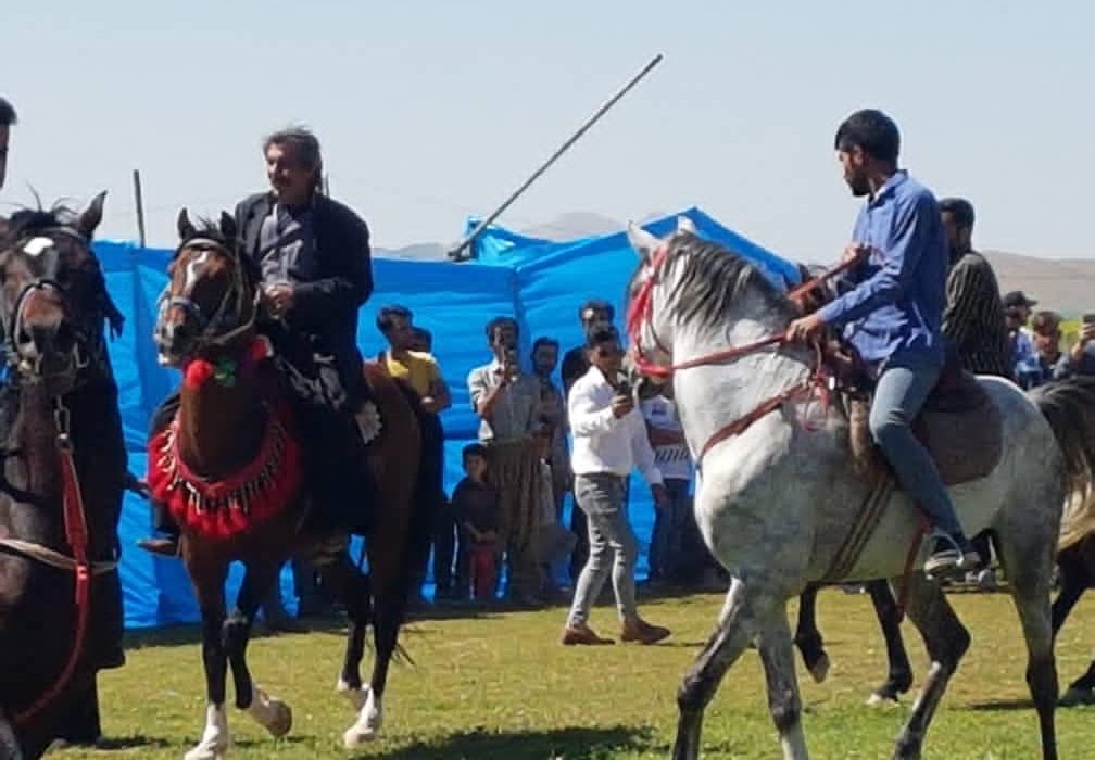 نخستین همایش اسب عرب خوزستان در قلعه تل