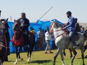نخستین همایش اسب عرب خوزستان در قلعه تل