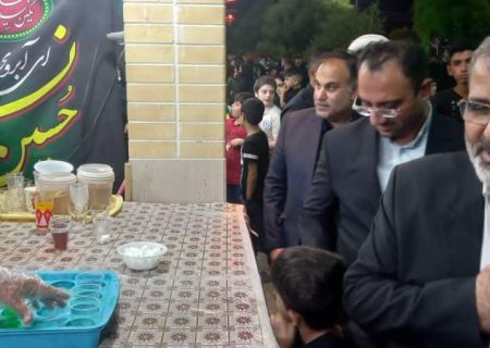 بازرس کل ویژه خوزستان از وضعیت خدمت‌رسانی مواکب شهرستان اندیمشک بازدید کرد
