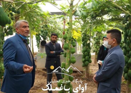 شهرستان باغملک بر سکوی اول توسعه احداث گلخانه‌ها در استان خوزستان