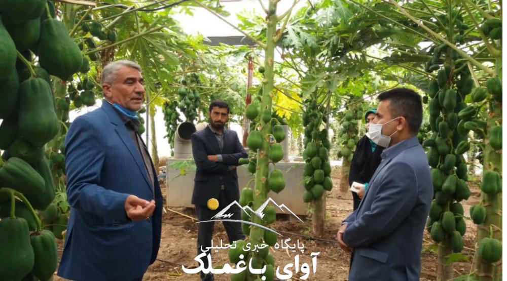 شهرستان باغملک بر سکوی اول توسعه احداث گلخانه‌ها در استان خوزستان