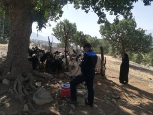 اجرای اردوی جهادی دامپزشکی یک روزه در شهرستان صیدون